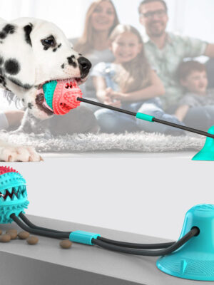 Teething Treat Dispenser Chew Ball