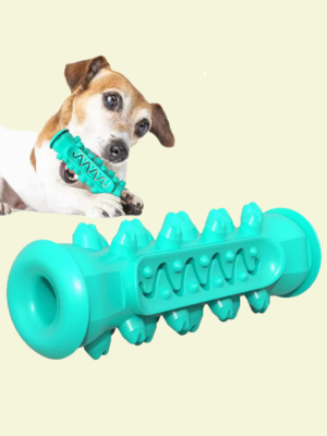 Dog Toothbrush Toy